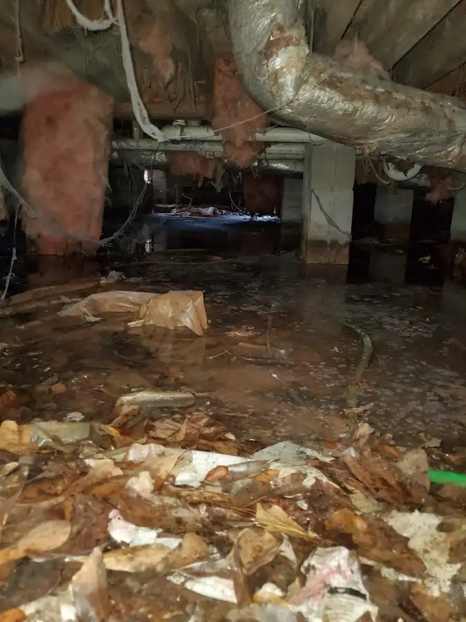 Crawl space flood assessment for Leak Detection & Repair in Simpsonville